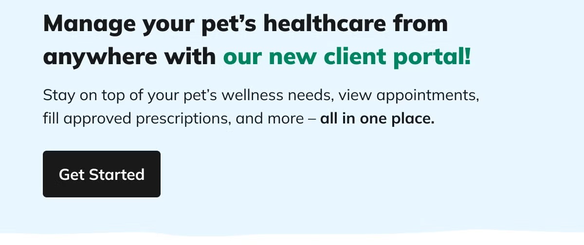 Pet Portal preview showing appointment requests.
