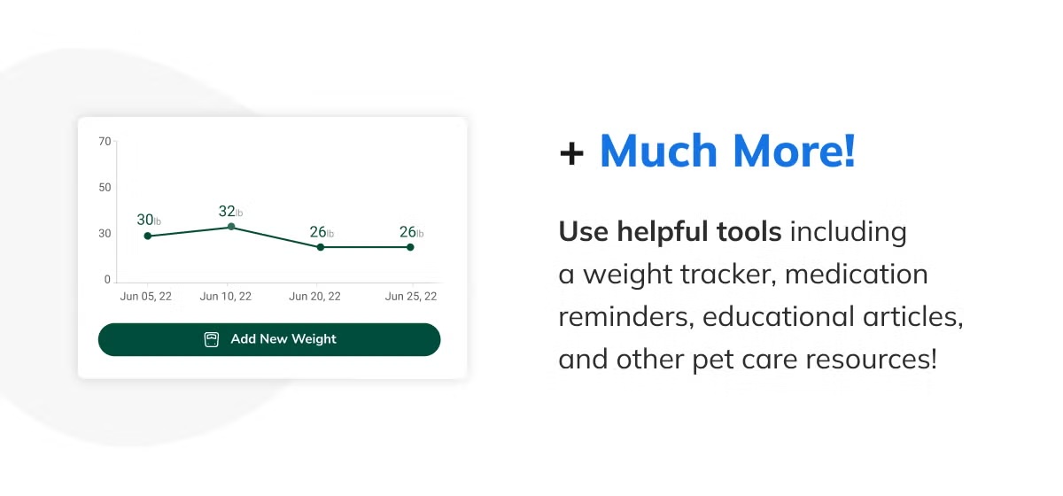 Pet Portal preview showing online payments and invoices.