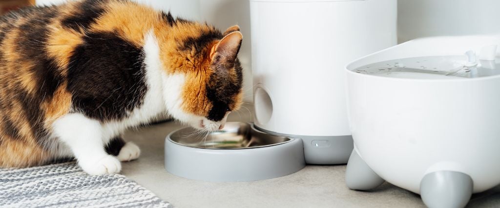 Smart Pet Technology
