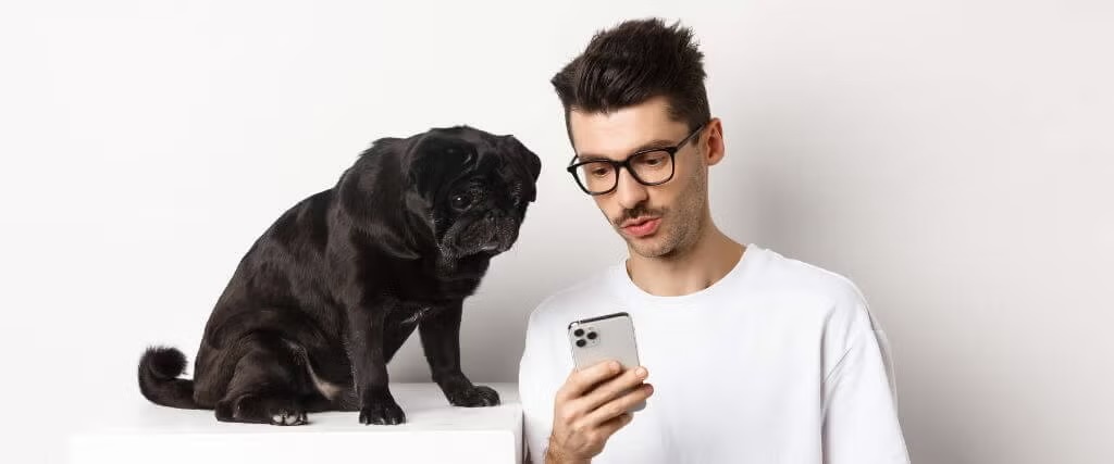 Veterinary Big Box And Online Pricing